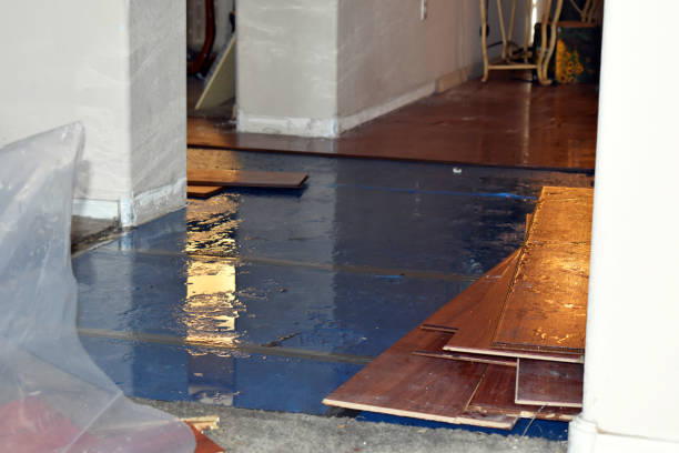 Professional Burst Pipe Cleanup technician working in Kingsland, TX